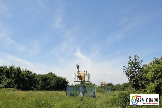 街球艺术交易市场：了解市场动态，发掘街头文化背后的经济价值